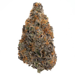 Tangerine Dream CBN Flower Wholesale