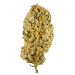 Jack Herer CBC Flower