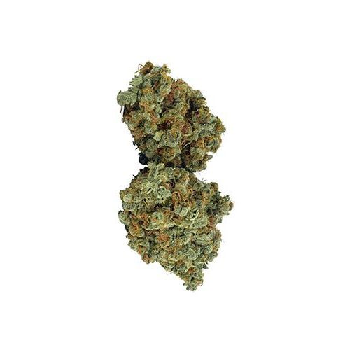 Sativa-Dominant GALIANO (NORTHERN LIGHTS HAZE) by Broken Coast Cannabis THC 15-25% CBD 0-1.99%