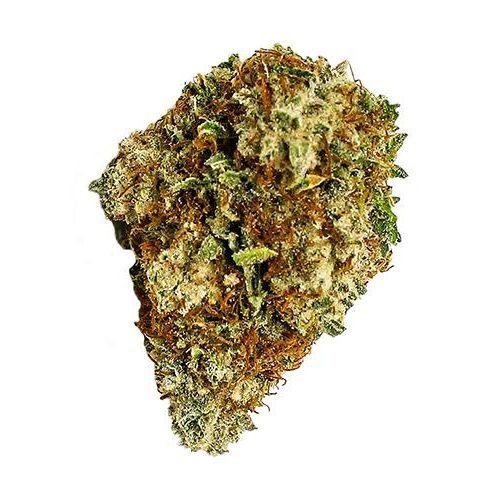Buy Cold Creek Kush Cannabis Strain Online