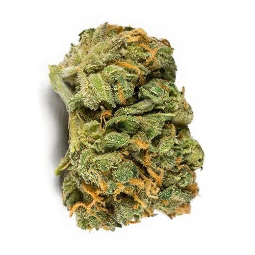 Sativa-Dominant ISLAND SWEET SKUNK Cannabis strain for sale