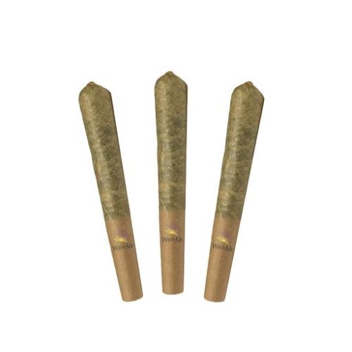 Enjoy the smooth and flavorful taste of Dead Bubba Walker Pre-Rolls with joints & blunts ready to spark up. Shop online for high-quality products here!