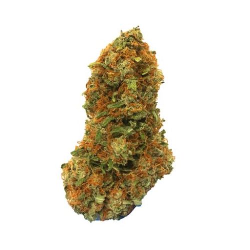 Buy Jason's Snow Bud Cannabis Strain Online