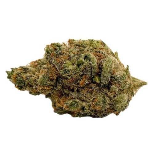 Sativa-Dominant ORANGE CKS (ORANGE COOKIES) by Gage Cannabis Co THC 16-21% CBD 0-0.5%
