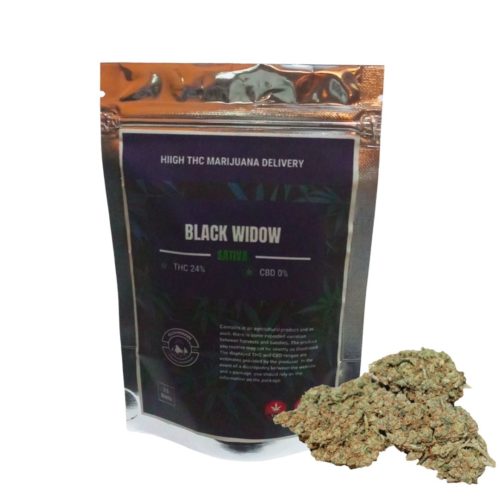Buy Black Widow cannabis strain for sale online near me