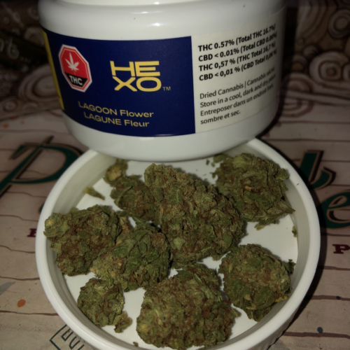 LAGOON (NORTHERN BERRY) by HEXO Strain Appearance And Packaging