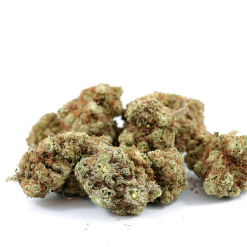 Enjoy the therapeutic effects of CBD with Harlequin, one of the highest quality high-CBD strains nowadays! Purchase online now and get your buds quickly and easily.