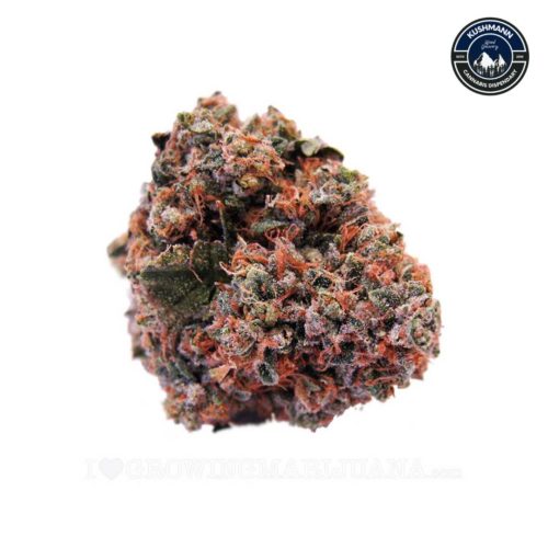 Treat yourself to some world-famous Strawberry Kush Cannabis Strain! Buy this strain online now and get ready to enjoy its sweet smell, energizing effects, and delicious taste.