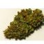 Buy Cannatonic Cannabis Strain Online