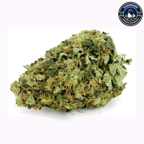 Get ready to relax with a smooth high from purchase of Hindu Kush Cannabis Strain online. Enjoy this perfect relaxation and see for yourself why it's so popular worldwide!
