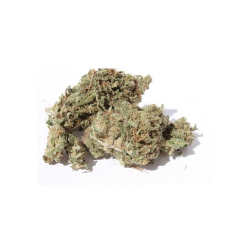 For an incredibly rewarding cannabis session, buy the Super Silver Haze strain online today. Experience intense flavor and effects that will keep you coming back for more!