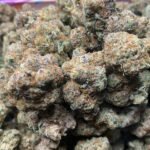 Alien OG THCa Flower