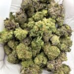 Animal Funk THCA Flower