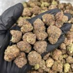 Apple Fritter THCa Flower