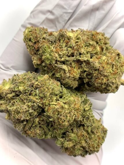 Bad Apple THCa Flower