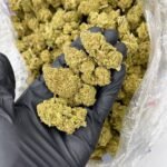 Berry White Indoor CBD Strain