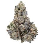 Biscotti THCa Flower