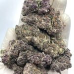 Blockberry THCA Flower