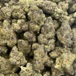 Blood Pie Indoor CBD Strain