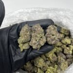 Blue Gushers CBD Strain