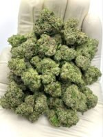Bolo Runtz THCa Flower