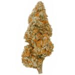 Bruce Banner THCa Flower