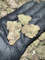 Bubble Gum Gelato THCa Flower