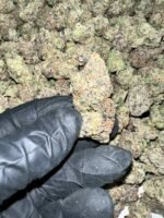 Bubble Gum Gelato THCa Flower - Image 2