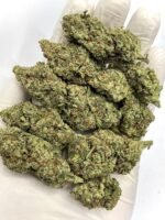 Cheese-Leche CBD Flower