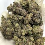 Cheese Quake CBD Flower