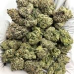 Cherry Mints CBD Flower