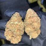 Green Crack CBD Flower