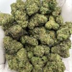 Spooky Runtz THCA Flower