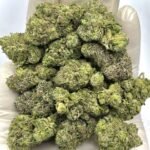 Burberry Runtz THCa Flower