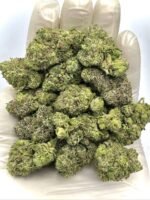 Burberry Runtz THCa Flower