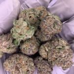 Purple Punch Exotic THCa Flower