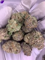 Purple Punch Exotic THCa Flower