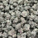 Cherry Glaze Smalls Indoor CBD Strain