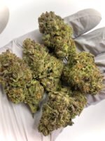 Candy Belts THCa Flower