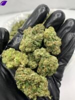 Candy Glue THCa Flower - Image 3