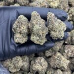 Candy Marker THCa Flower