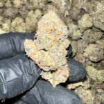 Carbon Fiber THCa Flower