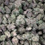 Cereal Milk Delta-9 THC Flower