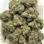 Champagne Kush CBD Flower