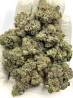 Champagne Kush CBD Flower