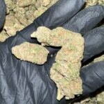 Citrus Blast THCa Flower