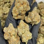 Citrus Burst Delta-8 THC Flower