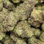 Citrus Frost CBDV Flower