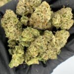 Airhead Runtz THCa Flower