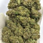 Batha Balanced THCa Flower